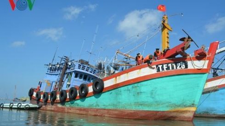 Giám sát tàu cá - Công cụ hữu hiệu chống đánh bắt cá bất hợp pháp (29/8/2019)