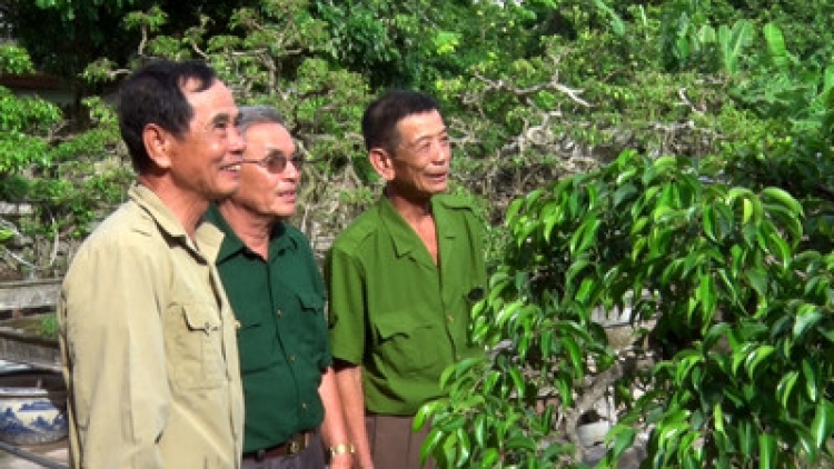 Một số mô hình phát triển kinh tế của cựu chiến binh tỉnh Ninh Bình (12/8/2019)