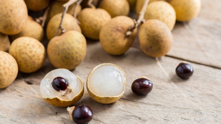 THỜI SỰ 18H CHIỀU 26/8/2019: Tin vui với bà con nông dân trồng nhãn: Bộ Nông nghiệp và nguồn nước Australia vừa thông báo các điều kiện nhập khẩu nhãn tươi Việt Nam (26/8/2019)