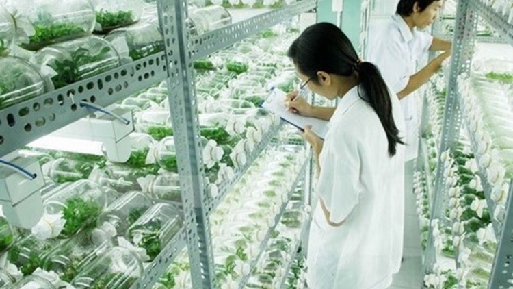 Ứng dụng công nghệ sinh học trong sản xuất nông nghiệp Việt Nam - đâu là giải pháp? (14/9/2019)