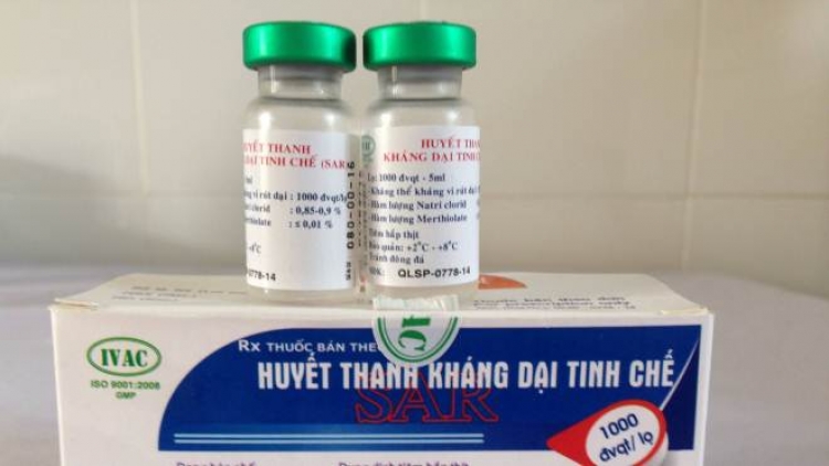 Vì sao thiếu vaccine phòng bệnh dại trên người? (6/9/2019)