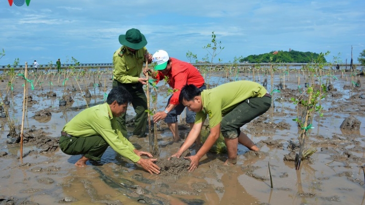 Những giải pháp cấp bách cần thực hiện đồng bộ để cứu lấy vùng đất châu thổ Cửu Long (23/9/2019)