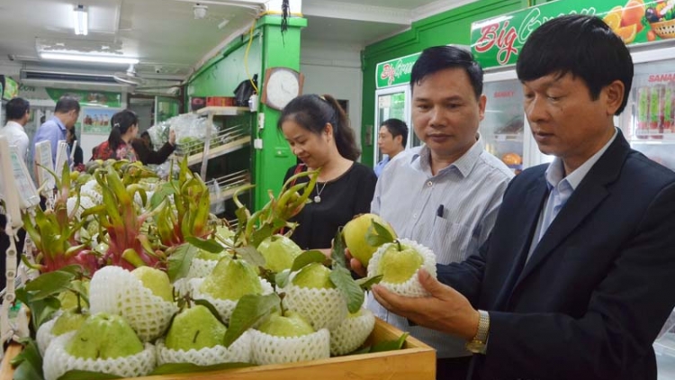 Phát triển nhãn hiệu tập thể cho sản phẩm nông nghiệp đặc trưng (21/1/2020)