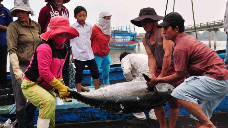 Gỡ thẻ vàng, cần quyết liệt hơn nữa (7/1/2020)