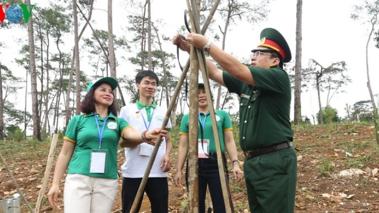 Tết trồng cây gắn với công tác quản lý, phát triển rừng (30/1/2020)