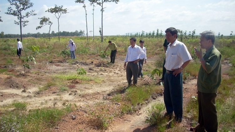 Tăng cường vai trò giám sát của người dân trong quản lý, sử dụng đất đai (21/1/2020)