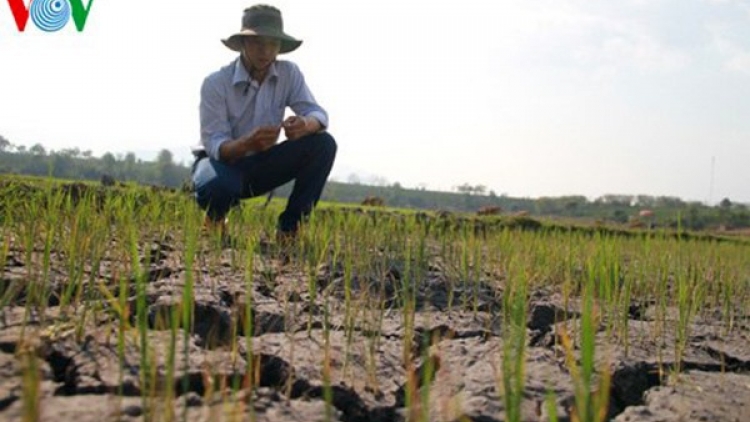 Vụ xuân 2020: khó khăn về nguồn nước (10/1/2020)