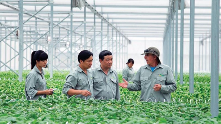 Doanh nghiệp giữ vai trò quan trọng trong tăng trưởng nông nghiệp (4/1/2020)