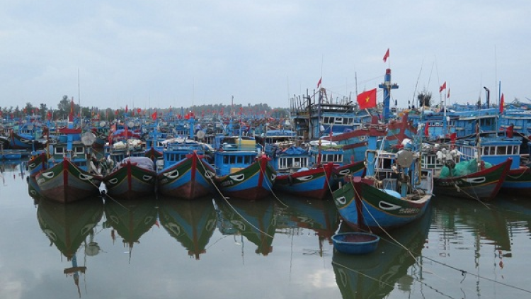 Chấm dứt khai thác thuỷ sản bất hợp pháp…IUU (05/10/2020)