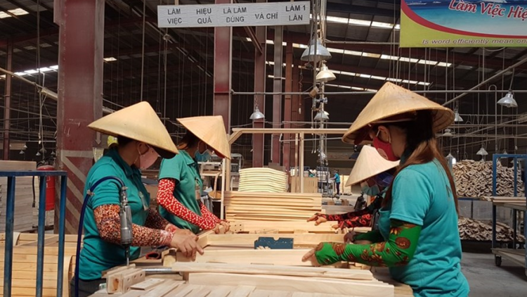 Việt Nam và EU thực thi hiệp định chống khai thác gỗ bất hợp pháp ( 02/10/2020)