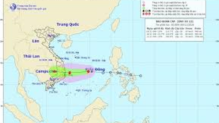 THỜI SỰ 21H30 ĐÊM 8/11/2020: Áp thấp nhiệt đới trên biển Đông có thể mạnh lên thành bão và đang tiến nhanh về khu vực các tỉnh từ Phú Yên đến Ninh Thuận. Ban Chỉ đạo Trung ương về phòng, chống thiên tai yêu cầu các bộ, ngành và địa phương chủ động lên phương án đối phó.