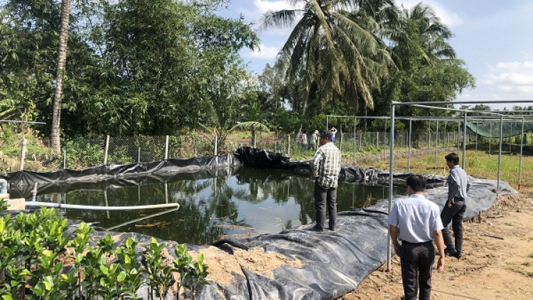 Nông dân Bến Tre, tìm cách trữ nước chống hạn (01/12/2020)