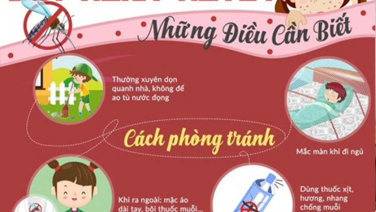 Sốt xuất huyết bùng phát: Người dân không được chủ quan (Ngày 15/11/2020)