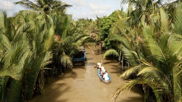 Mô hình chuyển đổi sản xuất thích ứng với hạn mặn ở Bến Tre (18/11/2020)