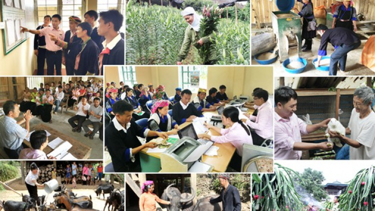 THỜI SỰ 12H TRƯA 11/12/2020: Việt Nam hoàn thành mục tiêu thiên niên kỷ về xóa đói giảm nghèo trước 10 năm, được cộng đồng quốc tế đánh giá là hình mẫu giảm nghèo hiệu quả