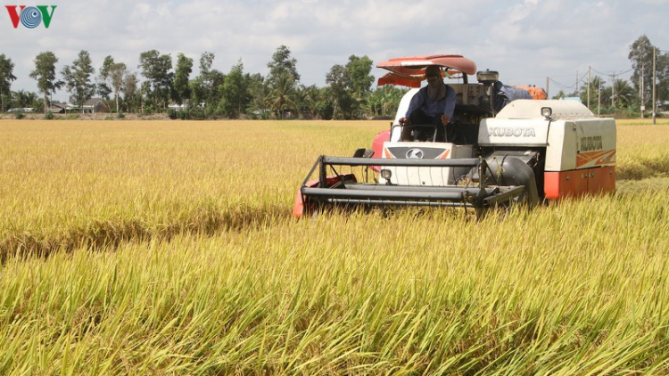 Nông nghiệp tăng trưởng vượt bậc nhờ thắng lợi kép (29/12/2020)