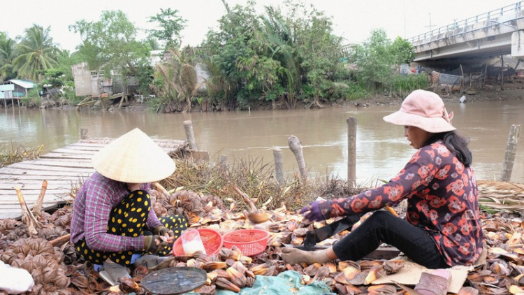 Cuộc sống mưu sinh của người miền Tây ở "Sài thành" (21/12/2020)