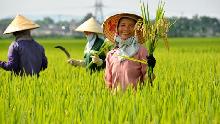 Kịch truyền thanh: Hồi sinh cho cánh đồng cam và “Khi cơn giông về bản” (21/11/2020)