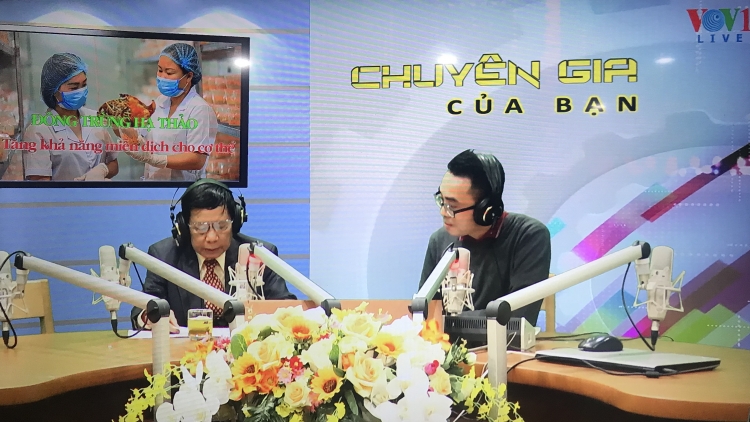 Đông trùng hạ thảo giúp tăng khả năng miễn dịch cho cơ thể (15/2/2019)