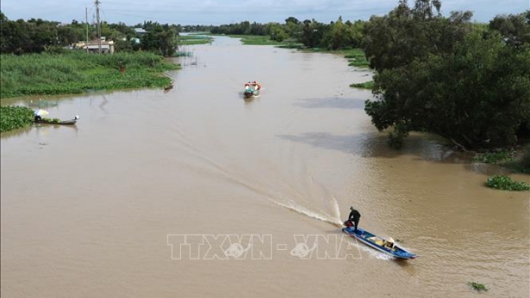 Sắp xuất hiện xâm nhập mặn cao nhất trên sông Cửu Long (6/2/2020)