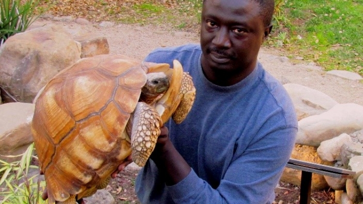 Chuyên gia Tomas Diagne với đam mê nghiên cứu và bảo tồn rùa tại Senegal (27/2/2020)