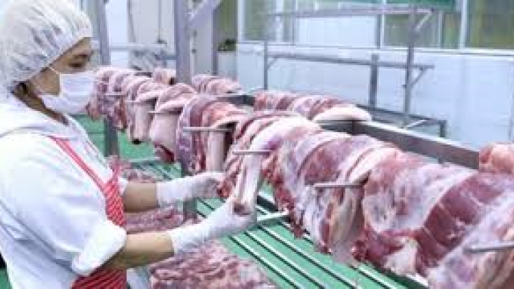 THỜI SỰ 18H CHIỀU 21/3/2020: Thủ tướng yêu cầu Bộ Nông nghiệp  và Phát triển nông thôn, Bộ Công thương kiên quyết giảm giá thịt lợn xuống mức dưới 60.000 đồng/kg.