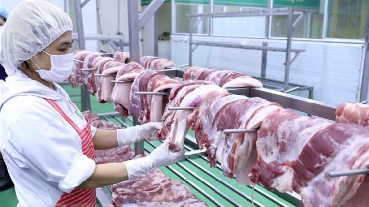 THỜI SỰ 18H CHIỀU 17/3/2020: Bộ Nông nghiệp và Phát triển nông thôn đề nghị doanh nghiệp giảm giá thịt lợn hơi xuống 70.000 đồng/kg.