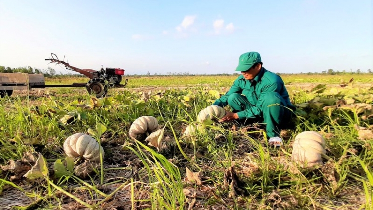 Đồng bằng sông Cửu Long vừa phòng chống vừa thích nghi với hạn mặn (18/3/2020)