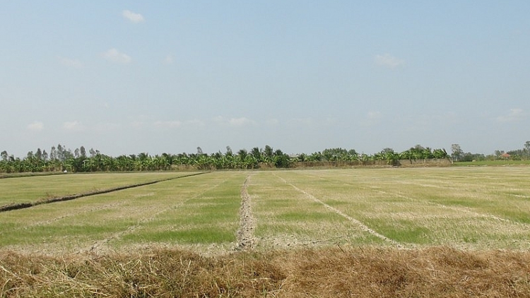 Giải pháp ứng phó với hạn mặn kỷ lục ở ĐBSCL (7/4/2020)