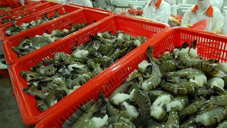 Tắc đầu ra ngành thủy sản do "bão" dịch, ngư dân lao đao (23/4/2020)