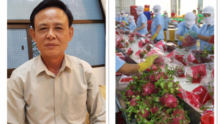 Sản xuất nông nghiệp tìm cơ hội phát triển trong bối cảnh dịch Covid-19 (23/4/2020)