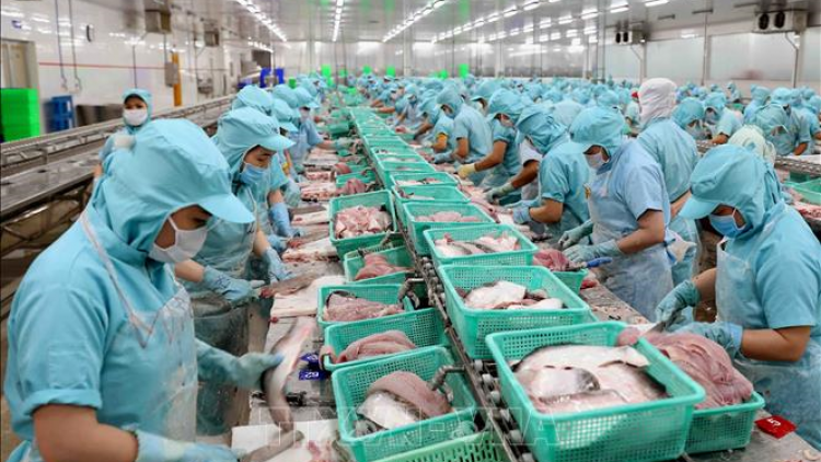 “Tình trạng “tắc” đầu ra ngành thủy sản và giải pháp tháo gỡ khó khăn, duy trì sản xuất (23/4/2020)