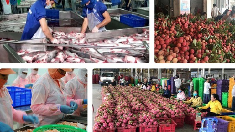 Xuất khẩu nông sản gặp khó giữa tâm dịch COVID-19 (13/4/2020)