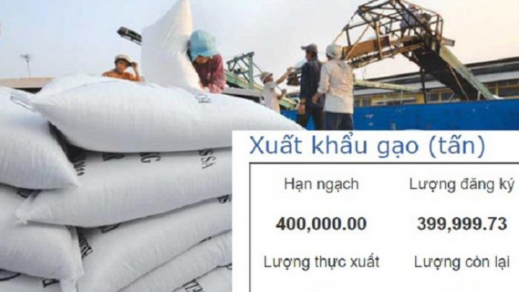 Nhiều doanh nghiệp từ chối bán gạo dự trữ cho nhà nước để đăng ký xuất khẩu gạo (15/4/2020)