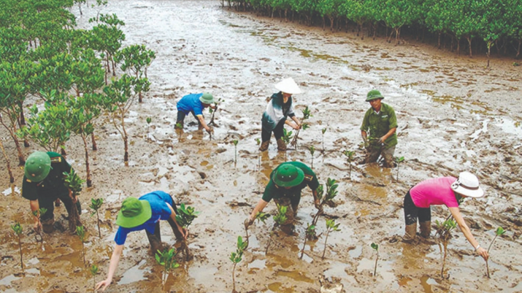 Kinh nghiệm dân gian trong dự báo và ứng phó với biến đổi khí hậu (15/4/2020)