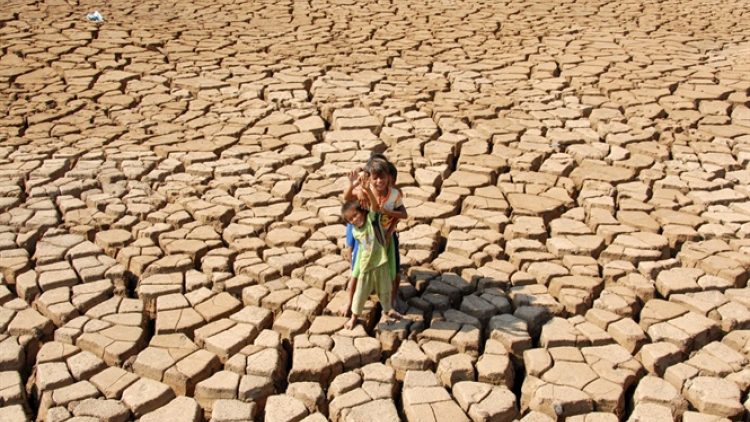 Miền Trung: Hạn hán và nắng nóng ảnh hưởng lớn đến sản xuất nông nghiệp (23/5/2020)