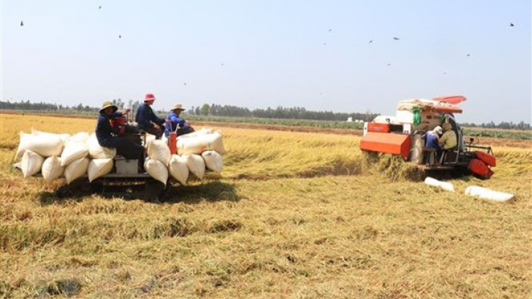 Khôi phục sản xuất nông nghiệp – trụ đỡ cho kinh tế đất nước (21/5/2020)