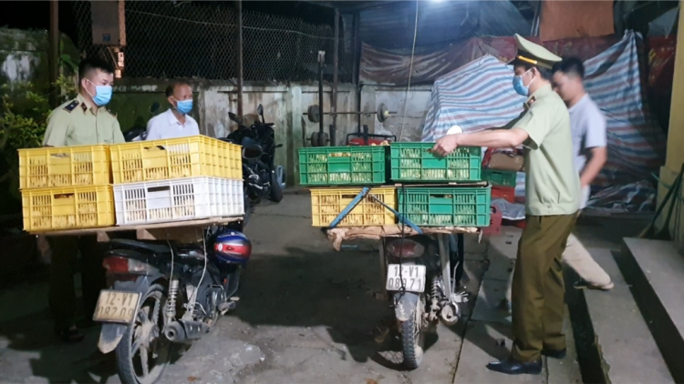 Lạng Sơn xử lý vụ việc kinh doanh giống gia cầm nhập lậu, tiêu hủy gần 5 nghìn con gia cầm giống (28/5/2020)