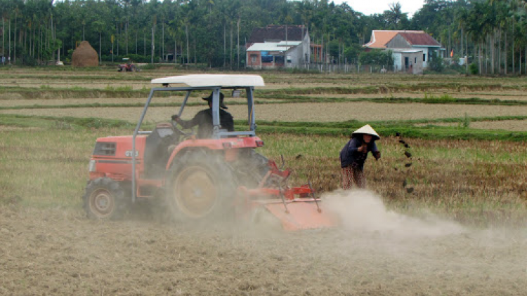 Nghệ An: Đối mặt nguy cơ thiếu nước vụ hè thu (14/5/2020)