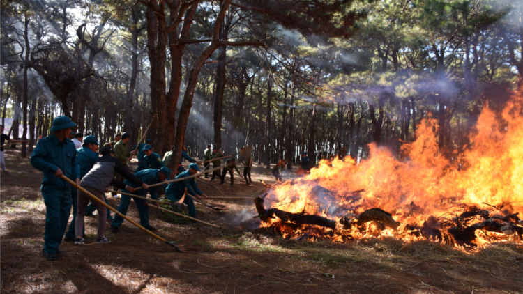 Nâng cao công tác phòng chống cháy rừng cao điểm mùa khô (13/5/2020)