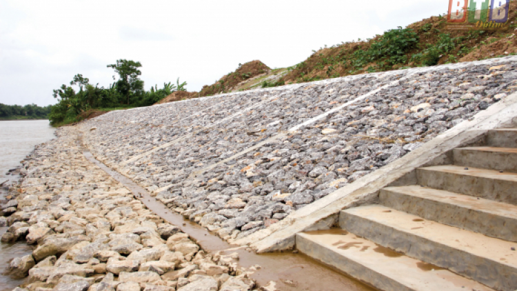 Hải Dương: Bảo đảm an toàn đê điều khi mùa mưa bão đang tới gần (5/6/2020)