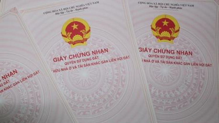 Các hộ dân làm kinh tế mới ở Nghệ An, mòn mỏi chờ Giấy chứng nhận quyền sử dụng đất (8/6/2020)