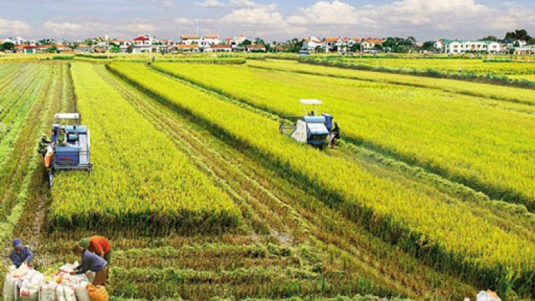 THỜI SỰ 18H CHIỀU 10/6/2020: Quốc hội đồng ý kéo dài thời gian miễn thuế đất nông nghiệp thêm 5 năm, tới năm 2025