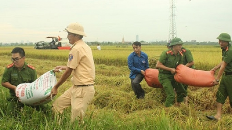 Vụ mùa năm 2020: Bám sát dự báo mưa lũ, chủ động các kịch bản tiêu úng (11/6/2020)