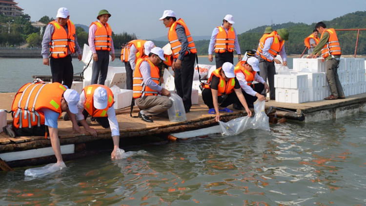 Bảo vệ đa dạng sinh học nhìn từ mô hình bảo tồn nguồn lợi thủy sản (17/6/2020)