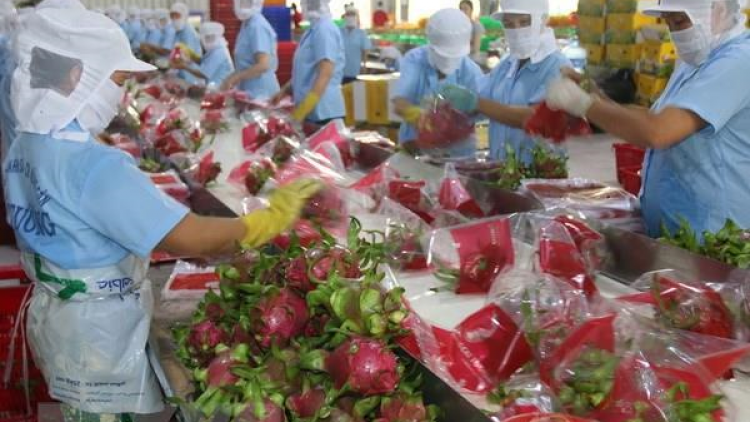 Đẩy mạnh xuất khẩu trái cây 6 tháng cuối năm 2020 (13/7/2020)