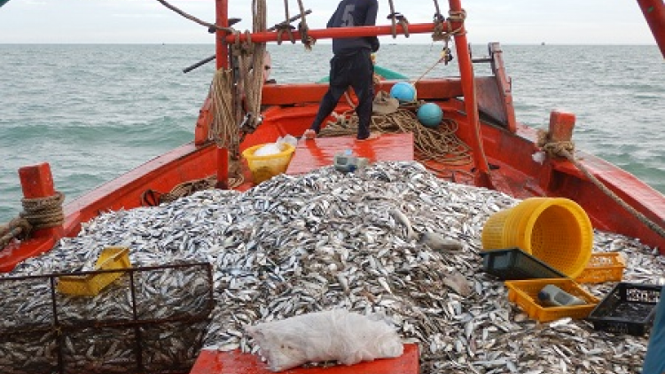 Luật thủy sản 2017 còn nhiều vướng mắc sau hơn 1 năm thực hiện (14/7/2020)