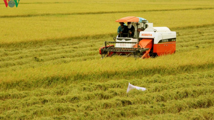 Tăng cường cơ giới hóa trong sản xuất nông nghiệp (22/07/2020)