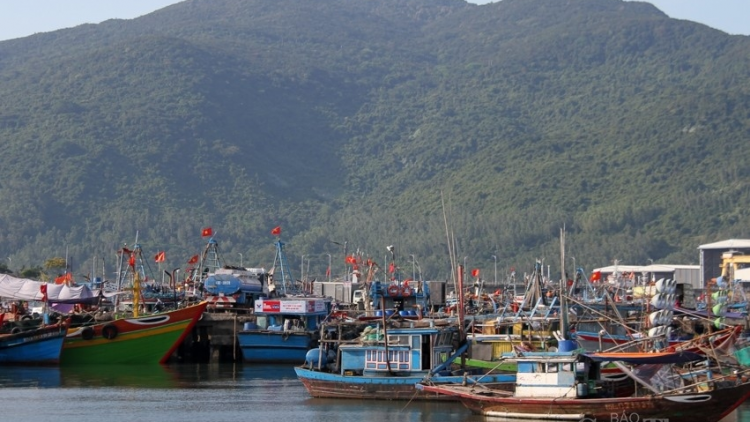 Đà Nẵng: Khai thác, mua bán và chế biến hải sản đảm bảo an toàn khi dịch bệnh (11/8/2020)