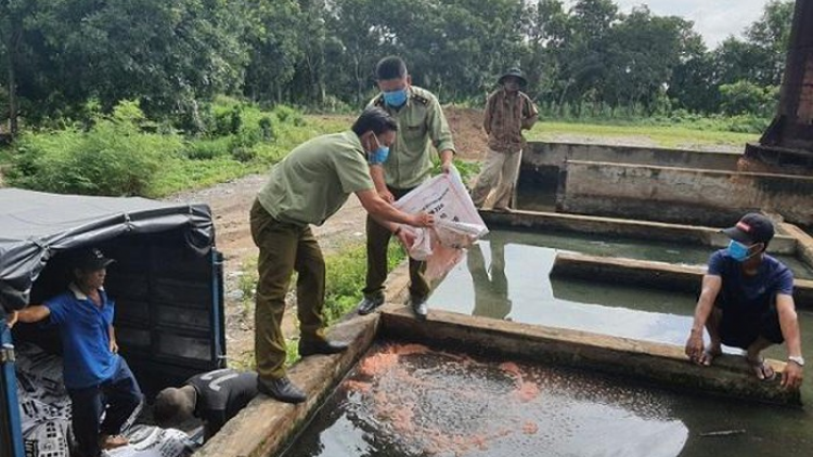 Kiên Giang: Tiêu hủy hơn 3 tấn phân bón giả không có giá trị sử dụng (21/8/2020)